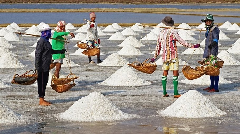 Salt production breaks 62-year record: BSCIC