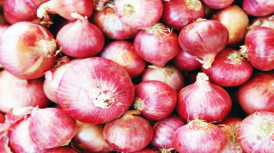 Taka 16.20cr stimulus to boost summer onion production