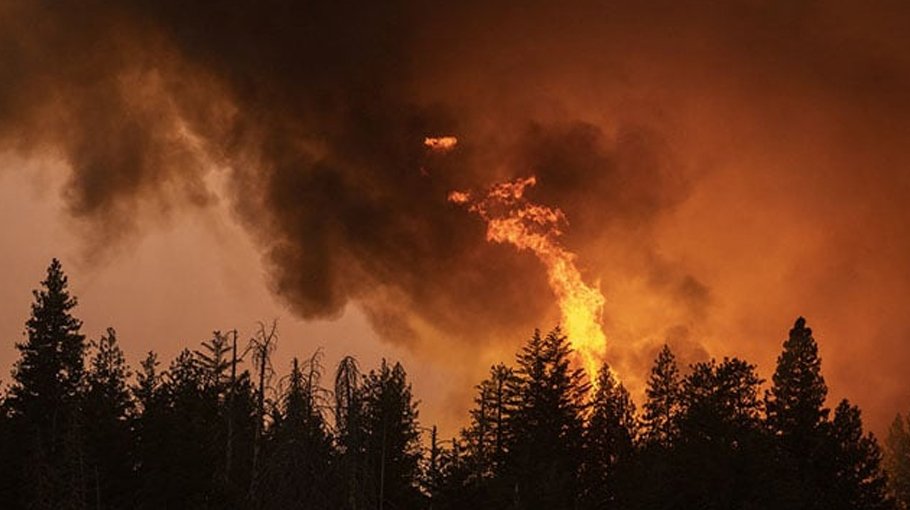 Canada wildfire fight turns corner after rain