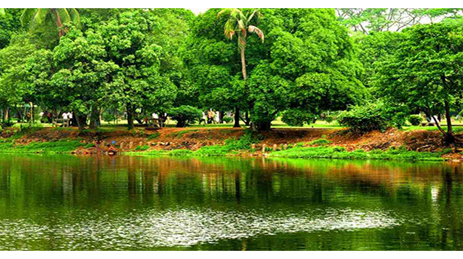 Dhaka Green Area Shrinks To 7pc; Waterbodies To 2.9pc: BIP - Bangladesh ...