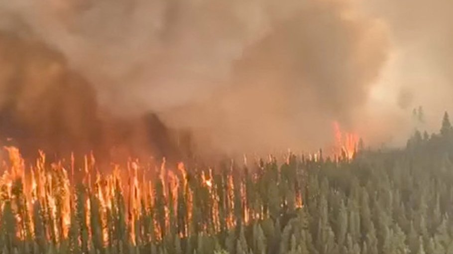 Wildfires: We need global action to minimise the risks