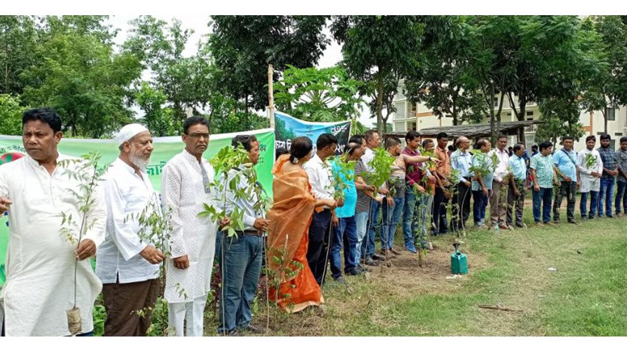Tree plantation inaugurated in Chuadanga