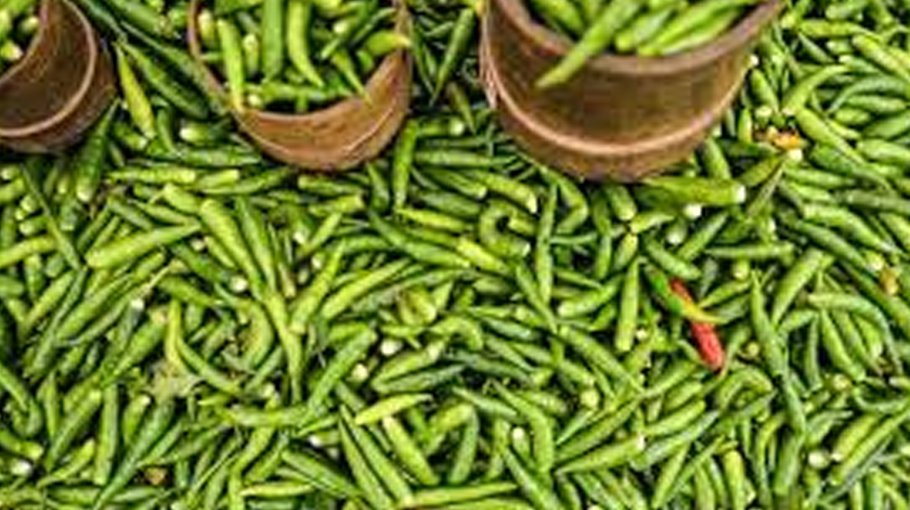 Chili, tomato pricier despite import  orders 