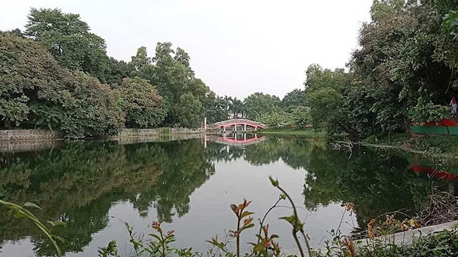 College student drowns at botanical garden’s lake