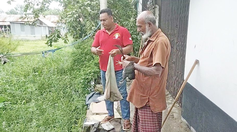 WCCU rescues five ‘Dahuk’ from bird hunter