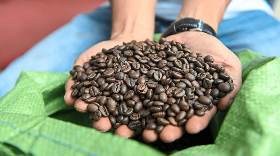 Chinese coffee producers eye Bangladesh as new export destination ...