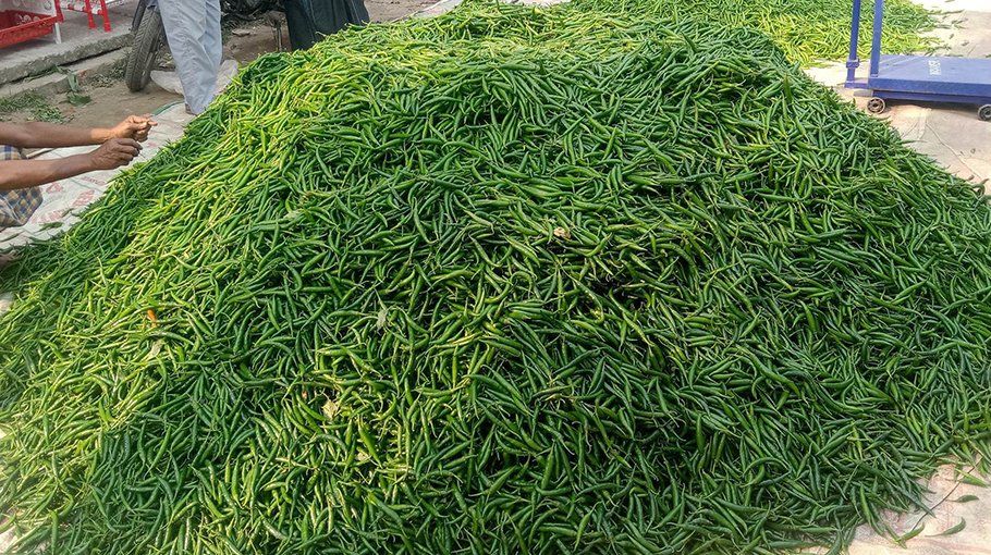 Green chillies sell at Tk400 a kg in Satkhira markets 