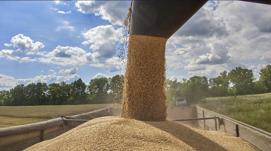 Grain deal termination may lead to uncertainty in markets: expert