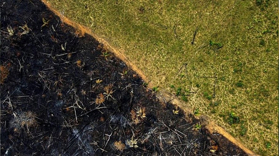 Amazon deforestation down sharply under Brazil’s Lula: Govt