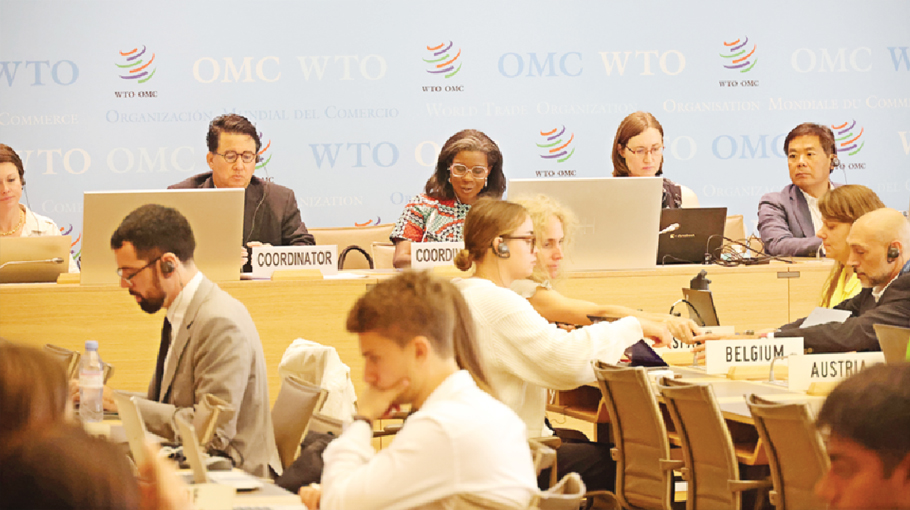 Wto Members Consider Possible Tessd Outcomes At Mc13 - Bangladesh Post