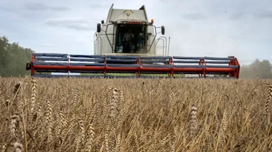 Russia’s export duty on wheat to rise $30.43 per metric ton from Aug 9