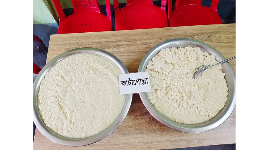 Natore’s ‘Kachagolla’ gains GI status 