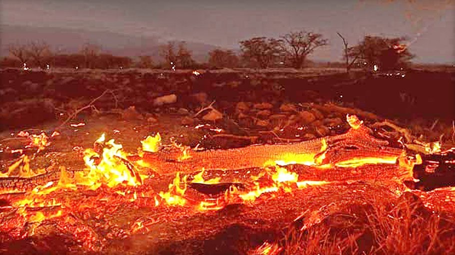Hawaii fire death toll hits 53, feared to rise higher
