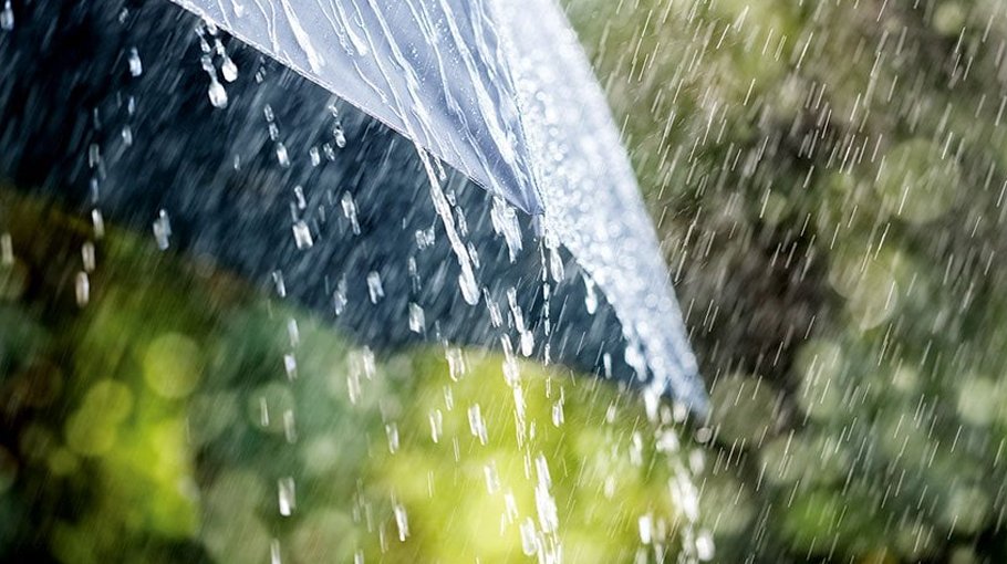 Light to moderate rain likely
