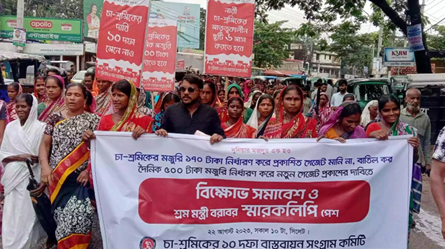 Sylhet tea workers demand Tk500 daily wage