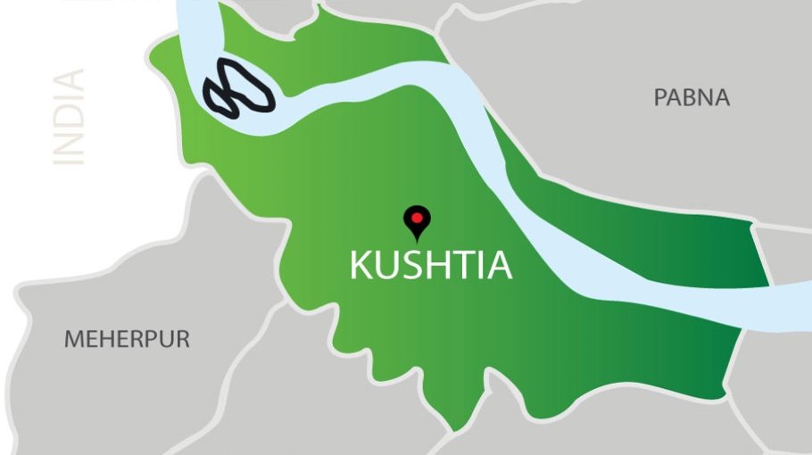 Mother, daughter die from snakebite in Kushtia