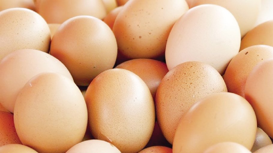 Eggs to be imported soon if necessary