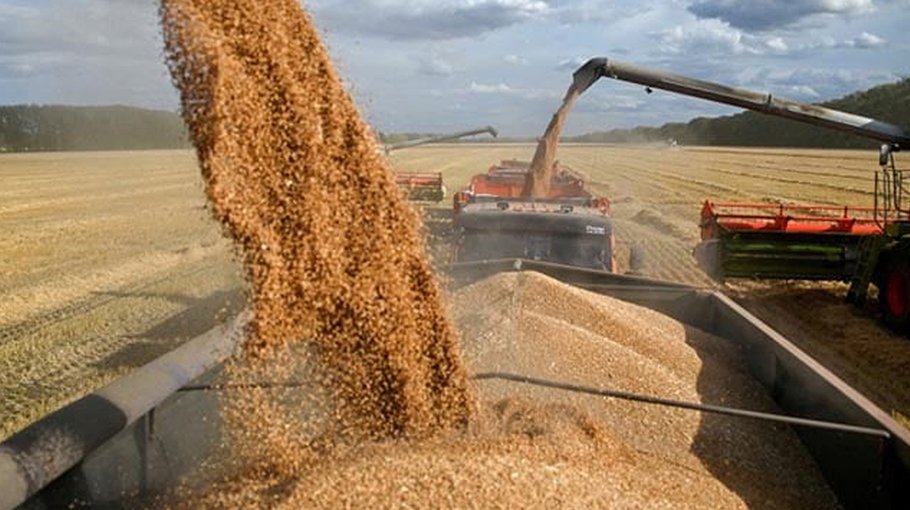 Top Turkish diplomat to propose to Moscow to resume grain deal in original form - source