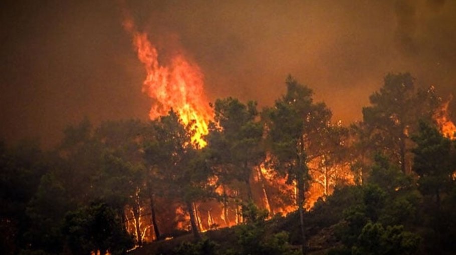 Greek wildfires will burn over 150,000 hectares