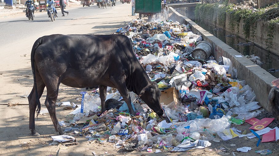 Dirty city roads in Cox’s Bazar frustrate tourists, locals