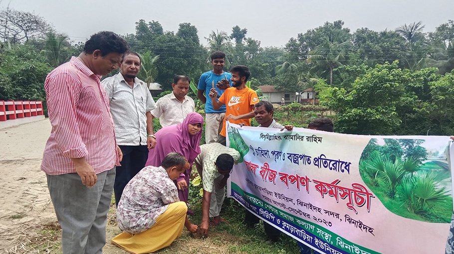 50000 palm seeds sowing start in Jhenaidah