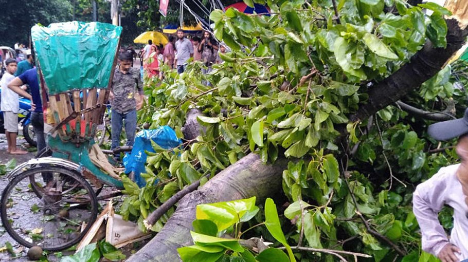 Rickshaw puller dies as tree falls on him on DU campus