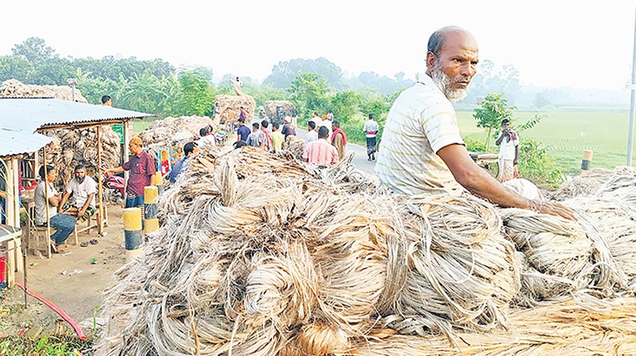 Rajshahi Jute farmers incur losses as cartel controls market  