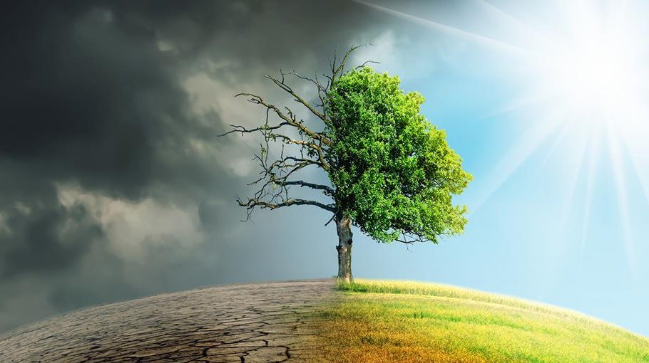 World must act on climate change now