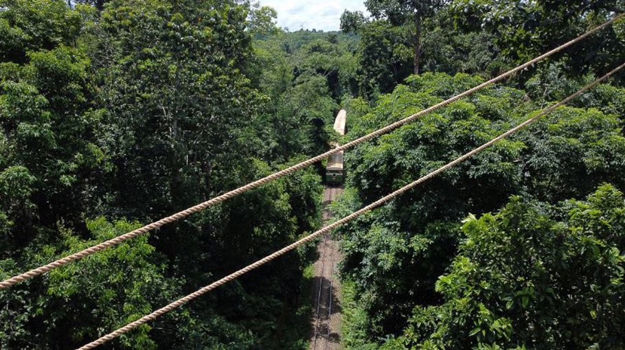 Police enforce 20kmph speed limit inside Lawachara National Park
