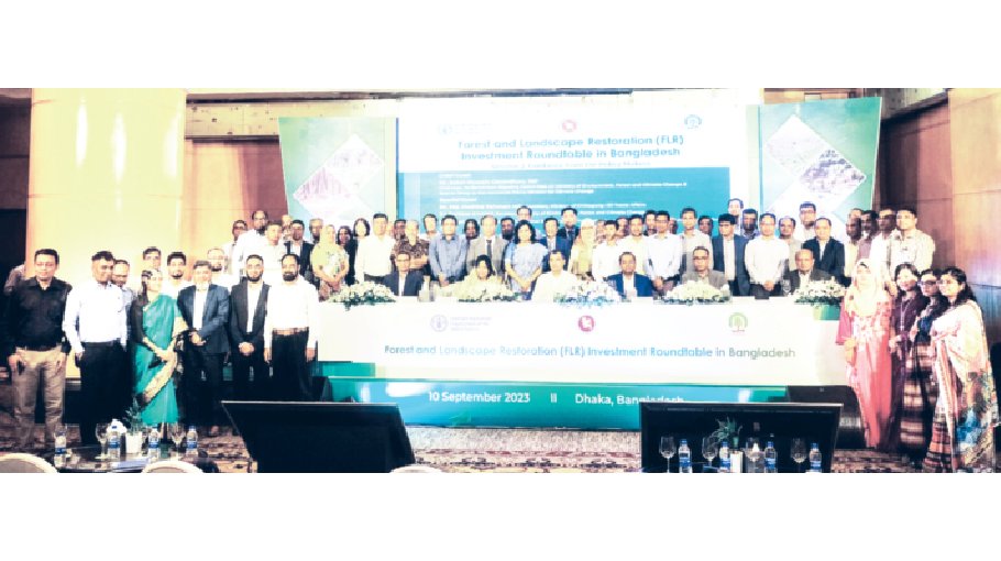 Bangladesh takes bold steps to safeguard its forests and landscapes