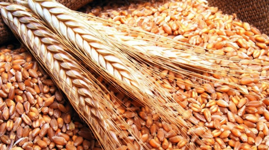 Govt to import 3 lakh mts of wheat from Russia 