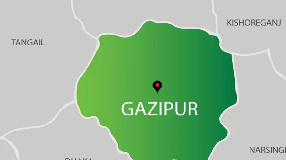 10 injured in fox attack in Gazipur