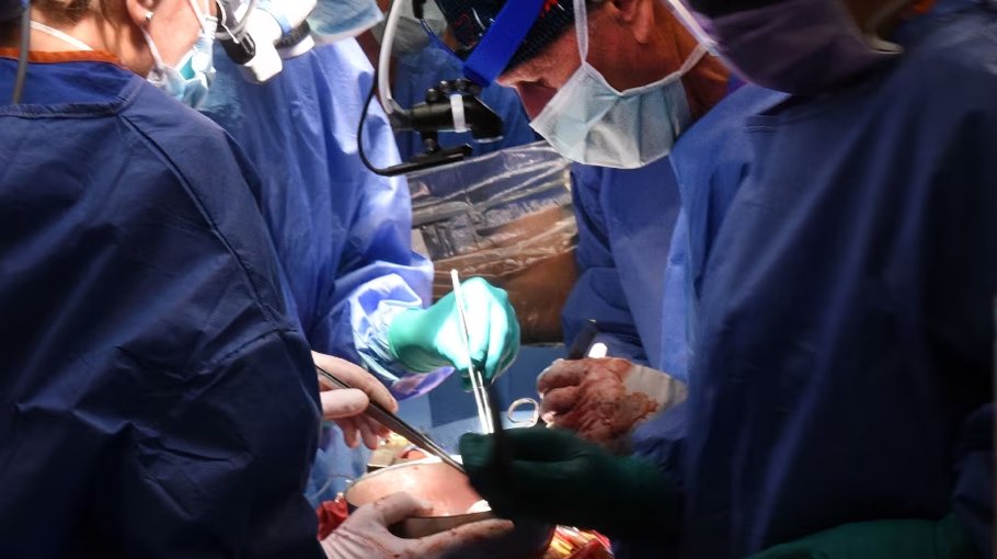US experts carry out second pigtohuman heart transplant Bangladesh Post