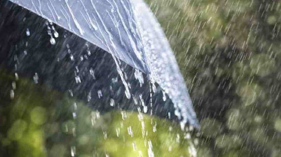 Light to moderate rain likely 