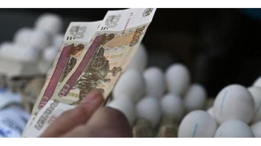 ‘Russian economy to grow this year’ 