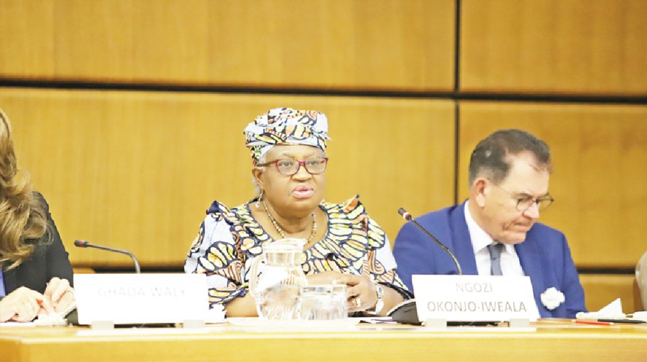 WTO members urged to help remove trade barriers for cotton