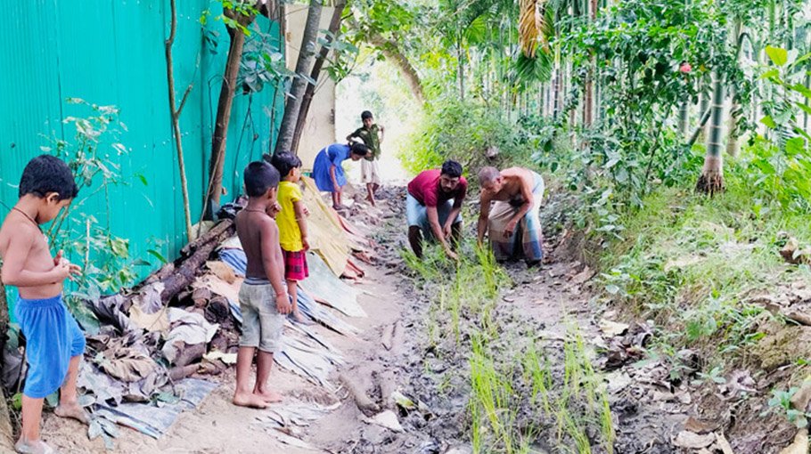 Locals plant paddy on  muddy road as protest