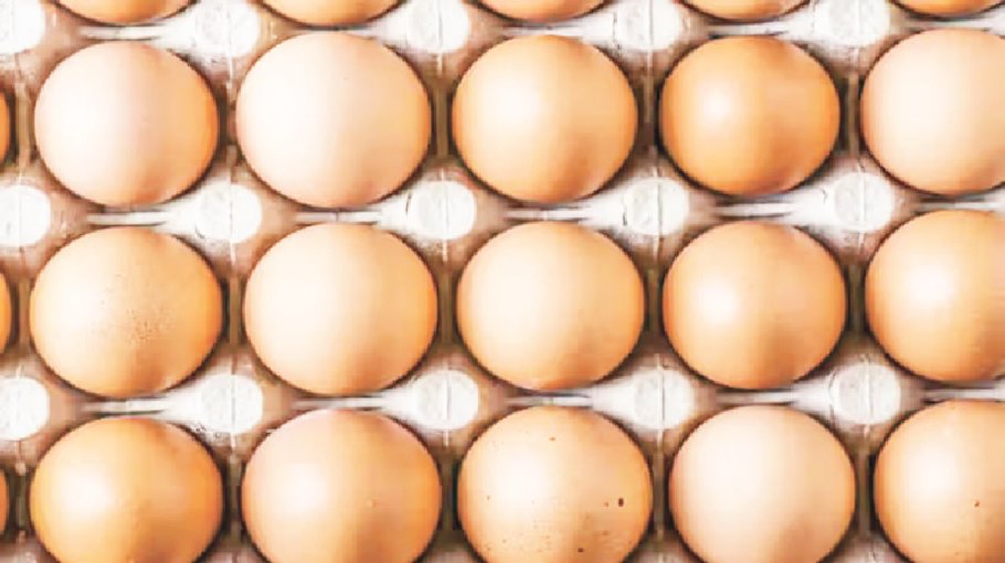 Sale of eggs at Tk 12 per piece begins in capital