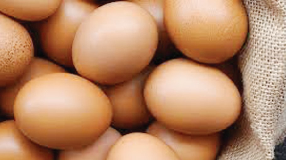 Egg prices see downturn as BPA starts truck sales in Dhaka