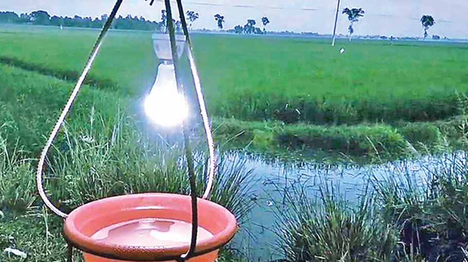 ‘Light trap’ leading the way to pest control in Sirajganj Bangladesh Post