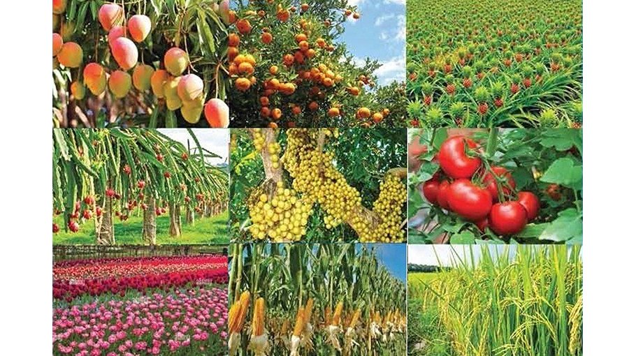 ‘Climate friendly farming to bring sustainable dev’