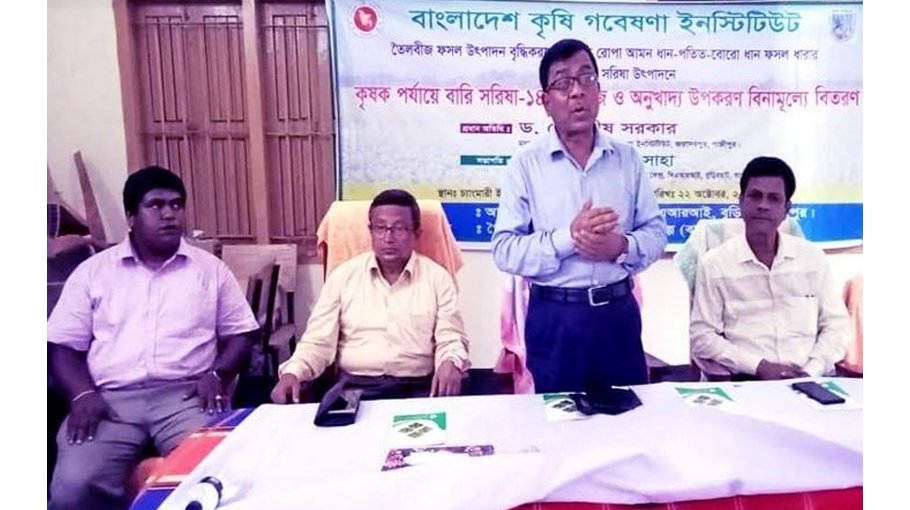 Farmers to get all support to cultivate BARI Sarisa-14: BARI DG