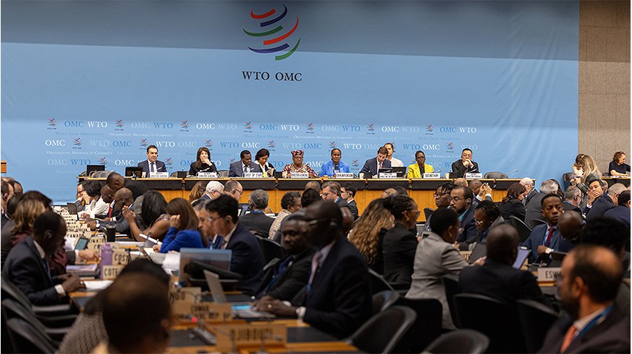 WTO to support LDCs on path to graduation