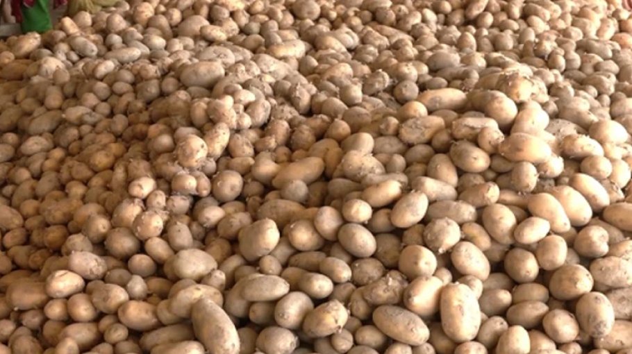 Govt decides to import potato