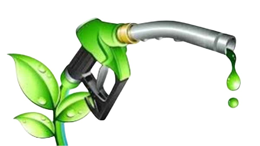 Experts for boosting bio-fuel potential for zero wastage in Bangladesh