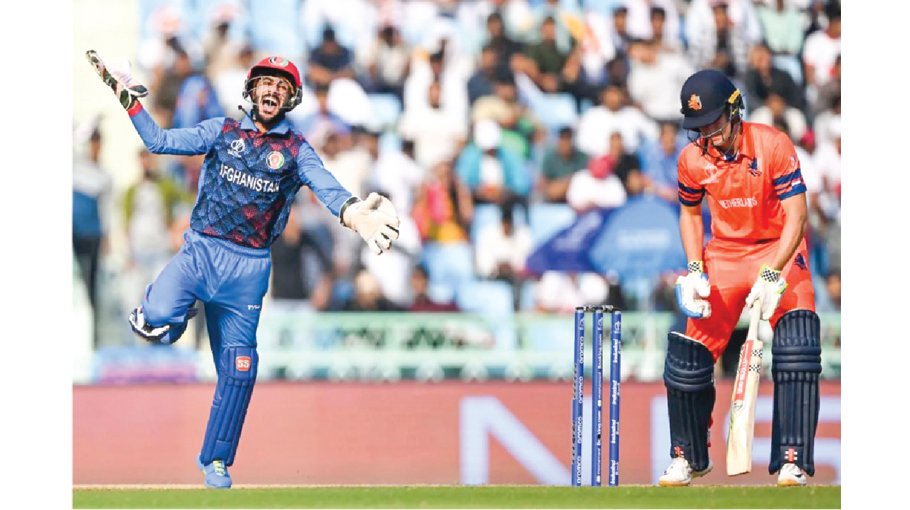 Afghans continue remarkable World Cup run 