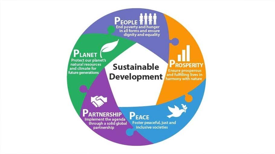 Achieving SDGs filled with difficulties 