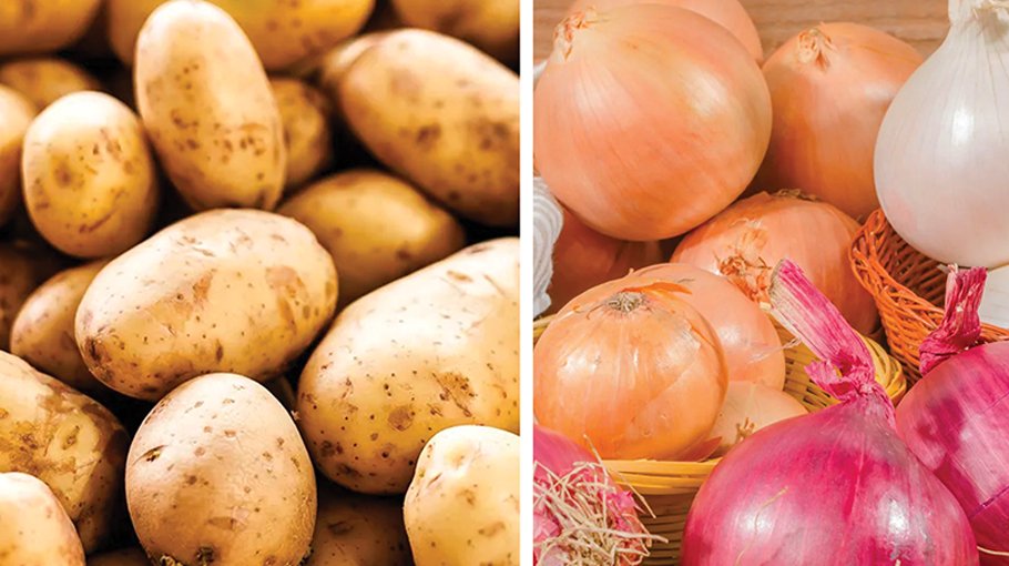 Prices of potato, onion to come down in  mid Dec