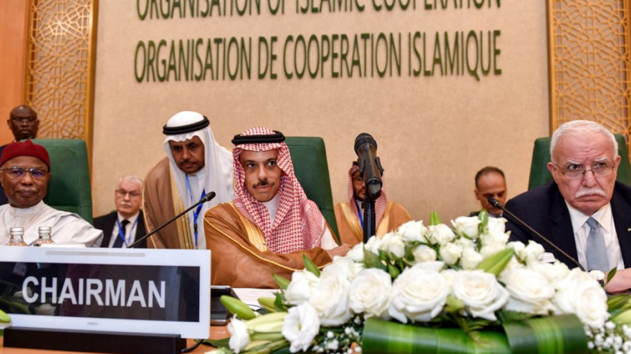 Saudi Hosts Gaza Summits - Bangladesh Post