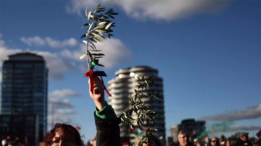 Hundreds of thousands stage Armistice Day pro-Palestinian rally in London